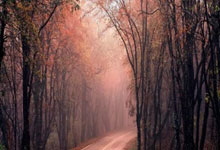 巴黎FC对阵卡昂，这场法乙对决有哪些看点？