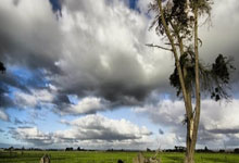 托尼·克罗斯算巨星吗?